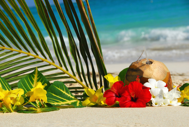 Обои картинки фото цветы, разные вместе, листок, пальмы, море, коктейль, пляж