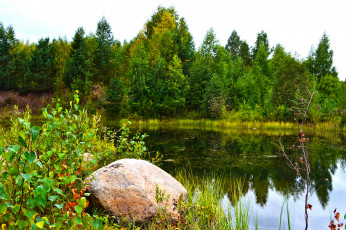 Картинка карелия природа реки озера озеро заросли лес