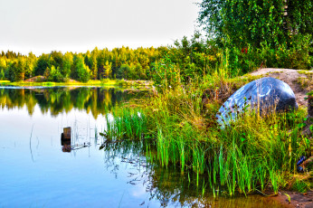 Картинка карелия природа реки озера заросли лес озеро