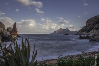 Картинка природа побережье горы цветы море