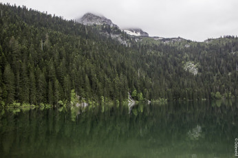 Картинка природа реки озера озеро отражение лес