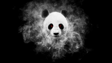 Картинка 3д+графика животные+ animals панда