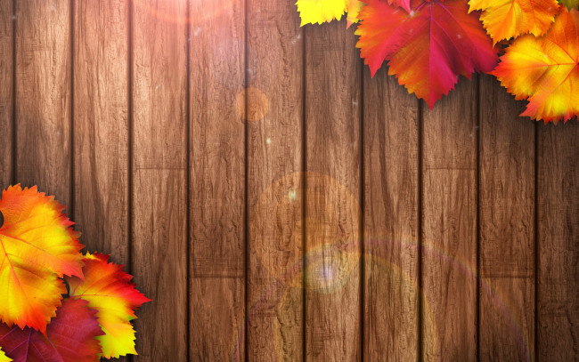 Обои картинки фото природа, листья, colorful, осенние, дерево, wood, leaves, texture, autumn