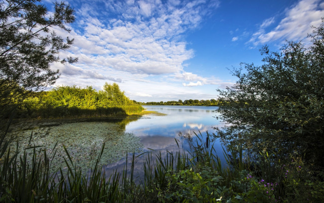 Обои картинки фото природа, реки, озера, растительность, cambridgeshire, река, англия, облака, небо, river, great, ouse, кембриджшир, грейт-уз, england