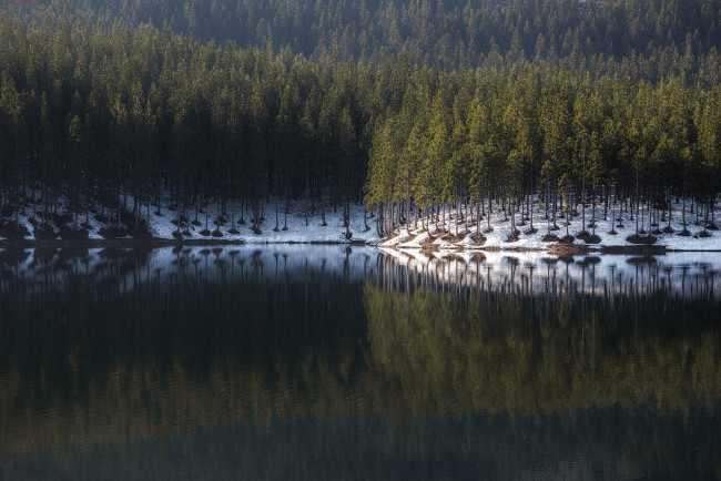 Обои картинки фото природа, реки, озера, лес, озеро, деревья, отражение