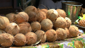 Картинка еда кокос кокосы