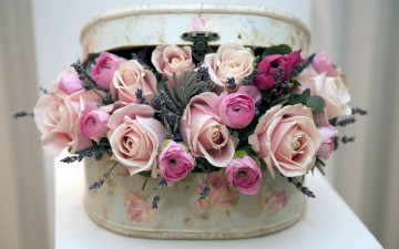 Картинка цветы букеты +композиции лаванда ранункулюс розы шкатулка
