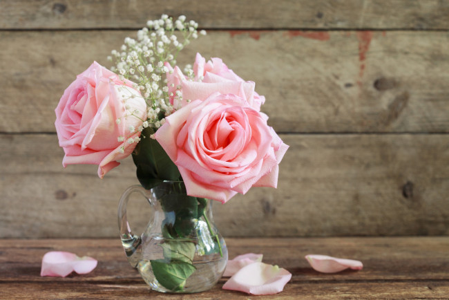 Обои картинки фото цветы, розы, кувшин, лепестки, розовый