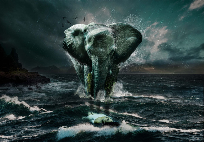 Обои картинки фото разное, компьютерный дизайн, wallhaven, вода, слон, природа, девушка, море