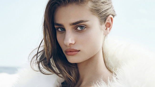 Обои картинки фото taylor hill, девушки, taylor, hill, девушка, модель, шатенка, красотка, лицо, портрет, макияж, причёска, сексуальная, взгляд