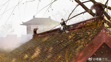Картинка аниме mo+dao+zu+shi вэй усянь крыша осень