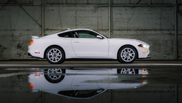 Картинка автомобили mustang 2022 ford gt ice white appearance package купе мускул кар белый профиль