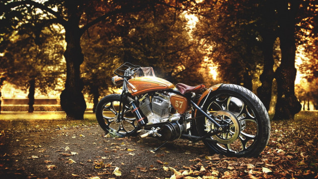 Обои картинки фото мотоциклы, harley-davidson, harley, davidson, мотоцикл, осень, парк
