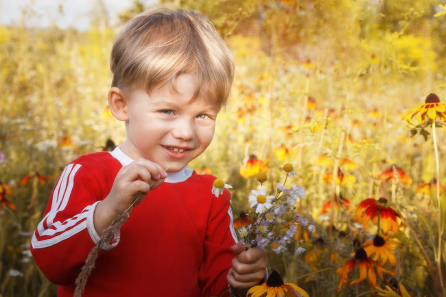 Обои картинки фото разное, дети, мальчик, луг, цветы, букет