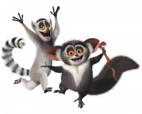 Картинка мультфильмы madagascar