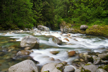 Картинка природа реки озера течение лес камни