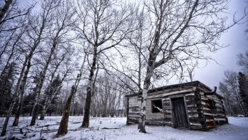 Картинка разное развалины руины металлолом зима деревья дом