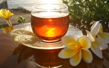 Картинка еда напитки Чай лимон чай чашка цветы плюмерия