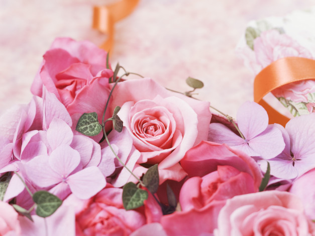 Обои картинки фото цветы, разные, вместе, розы, гортензия
