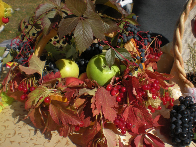 Обои картинки фото еда, фрукты, ягоды, калина, яблоки, виноград, листья