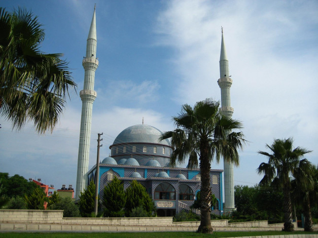 Обои картинки фото города, мечети, медресе, пальма, турция