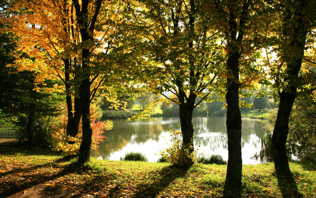 Обои картинки фото природа, реки, озера, вода, лес, листья, осень