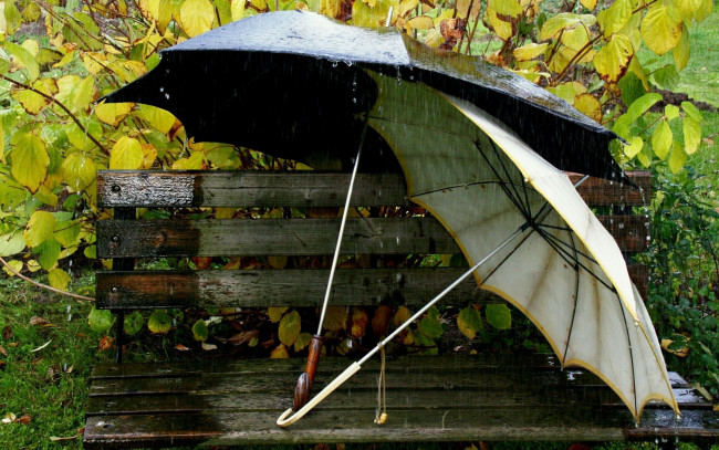 Обои картинки фото разное, сумки, кошельки, зонты, дождь, скамейка, парочка, зонтики