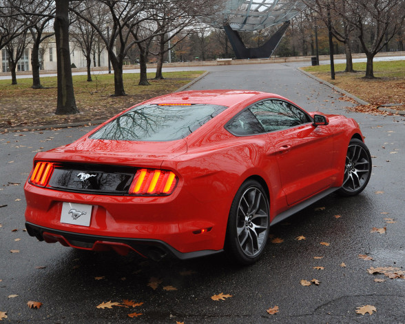 Обои картинки фото автомобили, mustang, ford, 2015г, красный, coupe