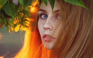 Картинка девушки -unsort+ лица +портреты веснушки золотая darya chacheva autumn is coming осень рыжеволосая