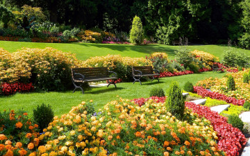 Картинка природа парк скамейки бархатцы цветы клумбы лужайки