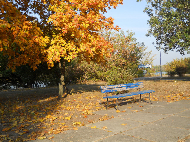Обои картинки фото русановская набережная в киеве, природа, парк, лавочка, осень, киев