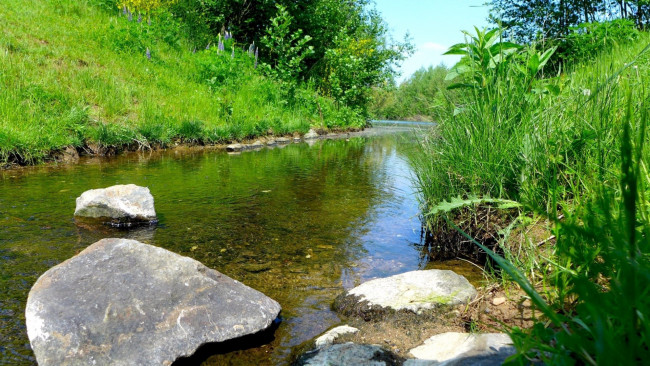 Обои картинки фото природа, реки, озера, камни, трава, речка, вода, лето