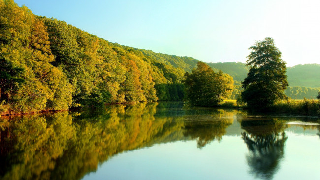 Обои картинки фото природа, реки, озера, отражение, вода, деревья