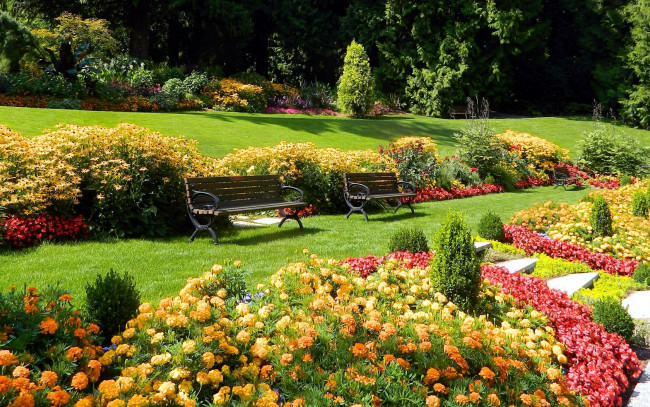 Обои картинки фото природа, парк, скамейки, бархатцы, цветы, клумбы, лужайки