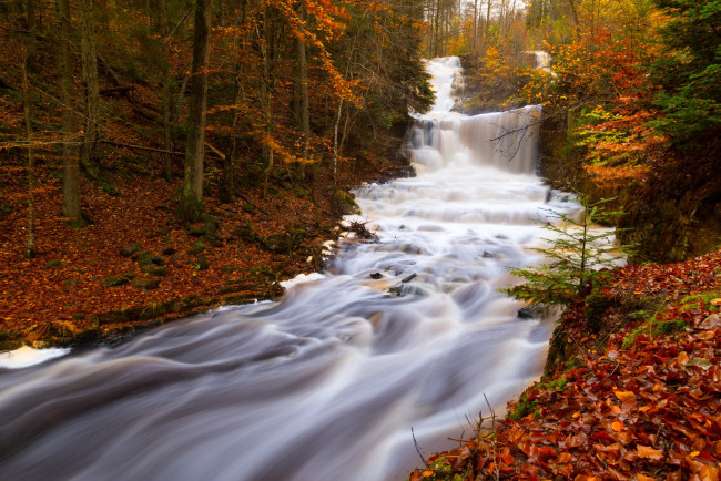 Обои картинки фото природа, реки, озера, осень, лес, поток
