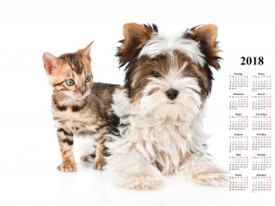 обоя календари, животные, белый, фон, кошка, собака