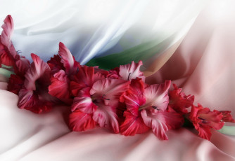 Картинка разное компьютерный+дизайн гладиолус волнующая радость красота цветок
