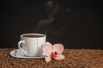 Картинка еда кофе +кофейные+зёрна чашка блюдце цветок