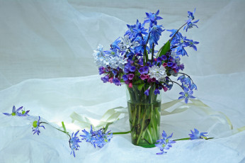 Картинка цветы букеты +композиции медуница май пушкинария композиция пролески подснежники красота весна первоцветы букетик