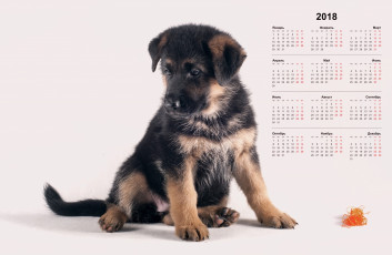 Картинка календари животные щенок
