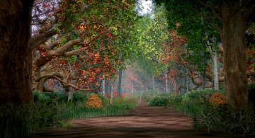 Картинка рисованное природа деревья растения лес осень