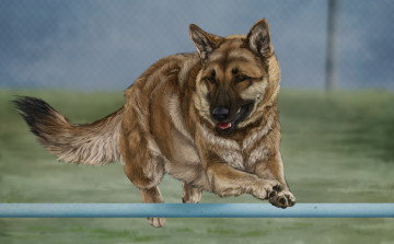 Картинка рисованное животные +собаки друг собака взгляд