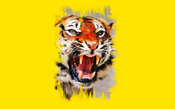 Картинка рисованное животные +тигры тигр