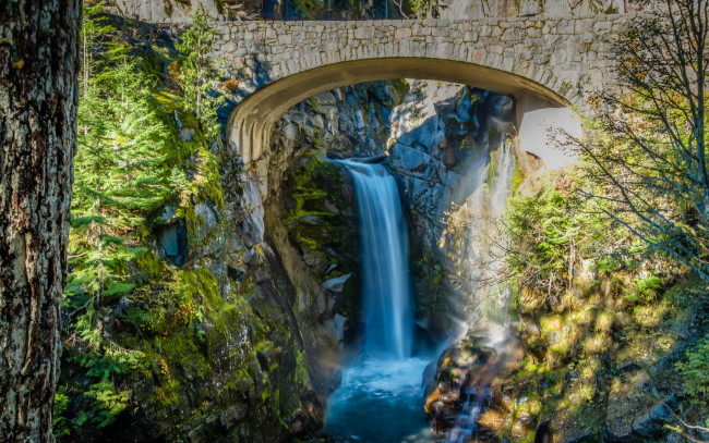 Обои картинки фото природа, водопады, мост, водопад, деревья