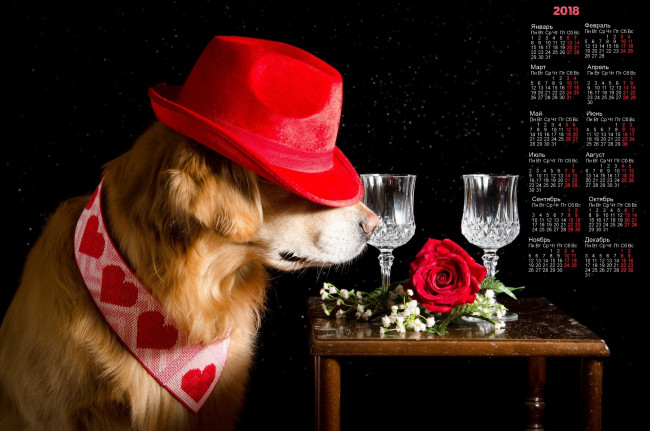 Обои картинки фото календари, животные, черный, фон, собака, шляпа, розы, фужер