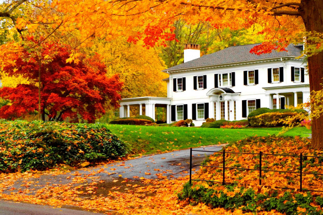 Обои картинки фото города, - здания,  дома, особняк, листья, листопад, осень