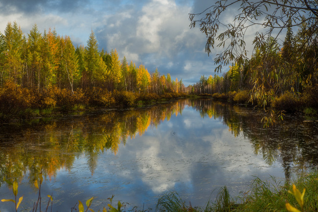 Обои картинки фото природа, реки, озера, отражение, трава, деревья, кусты, озеро, вода, облака, ветки, осень, лес