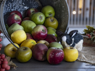 Картинка еда яблоки урожай