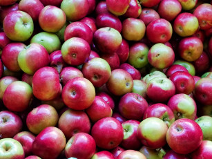 обоя еда, яблоки, урожай