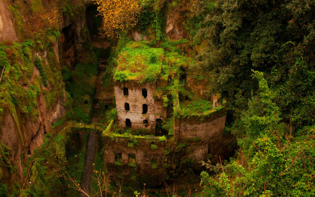 Обои картинки фото разное, развалины,  руины,  металлолом, фотография, заброшенное, старое, здание, руины, заросшие, деревья, монастырь, италия, растительность